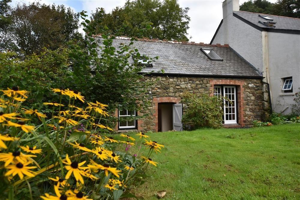 Cwmbrandy Cottage Fishguard Exterior photo