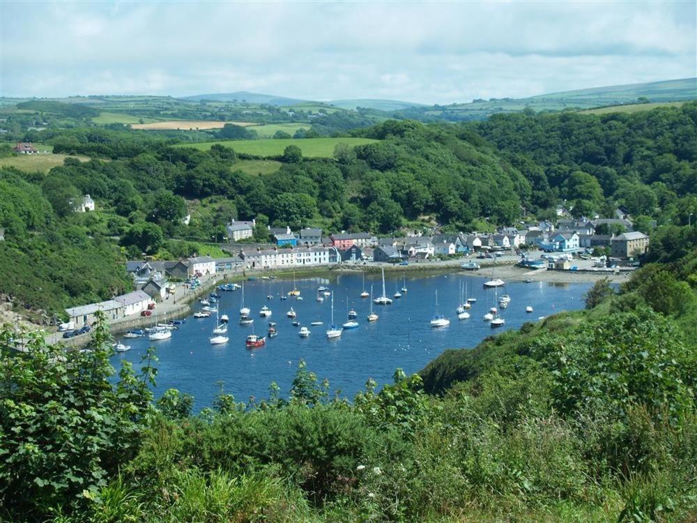Cwmbrandy Cottage Fishguard Exterior photo